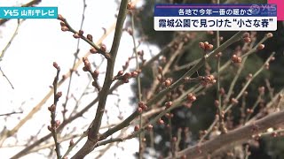 各地で今年一番の暖かさ霞城公園で見つけた小さな春