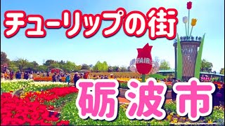 【富山県】国内最大級のイベント！となみチューリップフェアと駅周辺散策