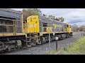 tasrail 2010 2008 light engines crossing station road