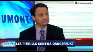 Faut-il bannir les pitbulls - Dr Joël Bergeron à Mario Dumont