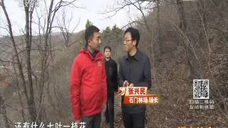 20160203 远方的家 长城内外（86）行走秦直道