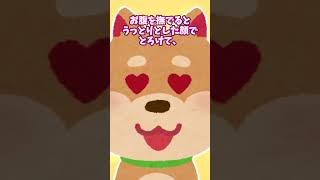 【2chほっこり】うちの犬、お腹を撫でるとうっとりとした顔でとろけて、脚をぱかーんと広げて脱力する #Shorts #2ch