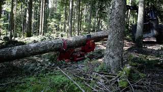 EBRANCHEUSE CAMOX #skidder #forester #excavator #debardage #logging #debardage #forestry #tracteur