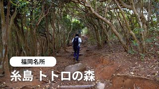 福岡名所 糸島トトロの森、玄海国定公園「芥屋大門公園」へ