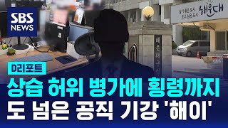 상습 허위 병가에 횡령까지…도 넘은 공직 기강 '해이' / SBS / #D리포트