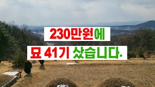 230만원에 묘 41기를 샀습니다[묘지경매, 공동묘지]