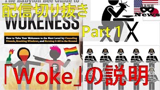 [切抜]Part 1:「Woke」の説明｜極左イデオロギー[日系仮面]