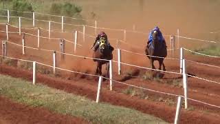 3 ELIMINATORIA - GP AGROPECUARIA COXILHA BONITA 475M - DON ERNESTO - PALMEIRA DAS MISSOES