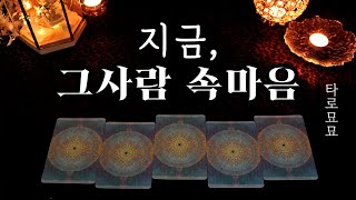 [타로] 지금, 그 사람의 속마음