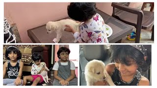 Surprise from dad || Welcoming home our new Puppy || Dhanya Nithya & Prasastha