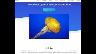 AI Search by image || Deep Learning Project Ideas || VGG16 CNN Model Application