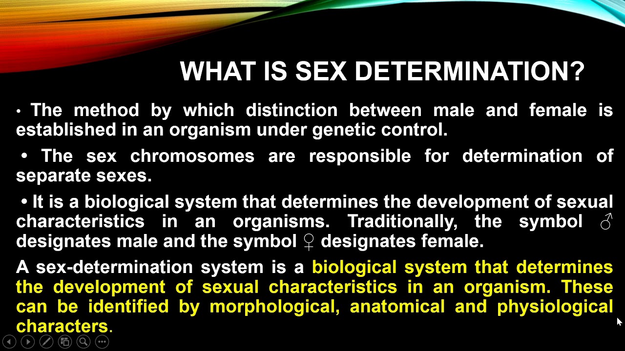 Sex Determination - YouTube