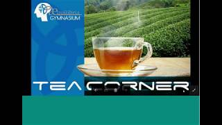 Tea Corner 5 con Romain Poivet: An innovative approach to downscaling the PA to companies level