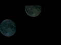 rare blue moon colored metamorphosis of 2021 the last until 2023