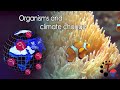 Organisms and their responses to climate change | feat. Simon Clark
