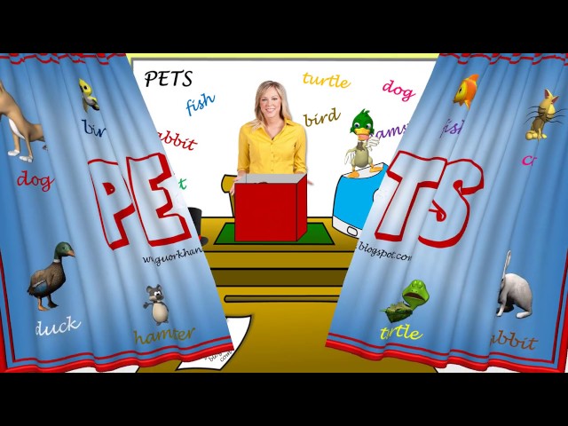 Basic Vocabulary Pets Animals Fo English Esl Video Lessons