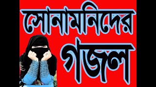 মধুময় কণ্ঠে বাছাই করা গজল / 2024/ Saiful Islam/ Hsaib Studio/ 2024