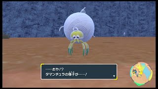 SV新ポケモン　タマンチュラ レベル15の進化