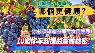 10個你不知道的葡萄秘密！紅葡萄 vs 綠葡萄，哪個更健康？你必須知道的葡萄食用禁忌！