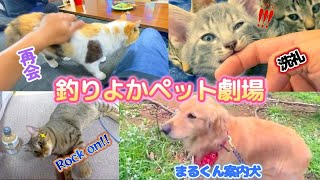 【釣りよかペット劇場】きむくん、旅終了から再会と洗礼\u0026相変わらずのみーちゃん＆よーらいママのガーデンをまるくんがご紹介！！Part.25