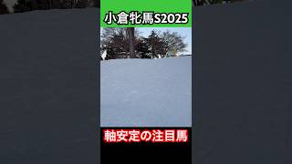 【小倉牝馬S2025 軸安定の注目馬‼️】毎週予想投稿中🐎 #小倉牝馬S #小倉牝馬ステークス #競馬予想 #競馬 #小倉競馬場 #アリスヴェリテ #ウマグチ