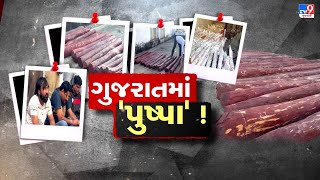 Patan: લાલ ચંદનની તસ્કરી ઝડપાઈ, અઢી કરોડથી વધુનો લાલ ચંદનનો જથ્થો ઝડપાયો | TV9Gujarati