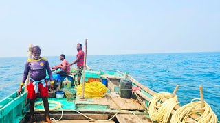 இதுவரை நீங்கள் பார்த்திடாத ஒரு வித்தியாசமான பதிவு | அழகான கடல் கலர் மீன்கள்