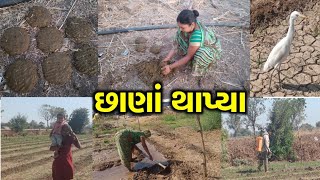 છાણા થાપ્યા | Real Video | Village Life Vlog