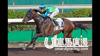 20220504 「箭意」勝出後練馬師蘇保羅訪問