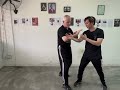 ‘WSL Ving Tsun Kuen Hok’ - breaking it down #78 - the Concepts of the ‘Cham Kiu’ form (Pt.4)