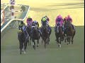 ナリタトップロード 2001年 第46回有馬記念 gi 優勝馬：マンハッタンカフェ