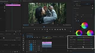 シネマライクな色調の動画をつくろう-『Premiere Pro よくばり入門 改訂版』解説動画