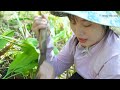 net fishing and charcoal drying fish a girl s life on a floating house