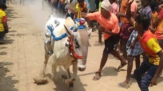 ||6.5.2022 ||PERIYA Eriyur street ||eruthu vidum thiruvizhaa ||Tamizh rock ||