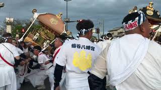 令和5年やわたんまち24（鶴谷八幡宮神輿と安房神社神輿）