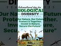 #international day for  biological diversity day 2023