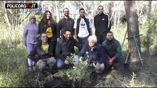 LE ULTIME GIOVANI PIANTINE DI FARNIA MESSE A DIMORA PER IL PROGETTO “L’ULTIMA FORESTA INCANTATA”