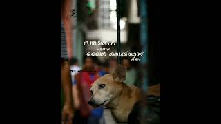 alone life | sad life malayalam video