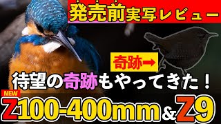 【発売前実写レビュー】Nikon NIKKOR Z 100-400mm f/4.5-5.6 VR SとZ9で野鳥を撮影しに行ったらすごいことになった(バードウォッチング 野鳥撮影 鳥動画 ミソサザイ)