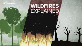 What are wildfires?