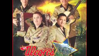 LOS ALEGRES DEL BARRANCO - PRINCIPIOS