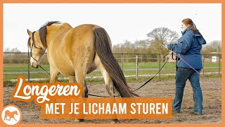 Paard longeren met lichaamshouding