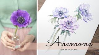 Anemone Flower_ Watercolor tutorial/ 아네모네 꽃_ 보태니컬 아트 수채화/ How to paint Botanical Art