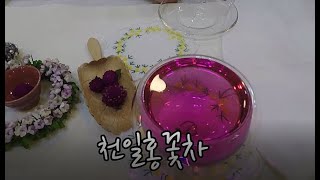 꽃차교실(천일홍꽃차)/신경안정, 불면증 해소를 위한 차