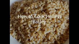 Cooking Hulless Barley 101