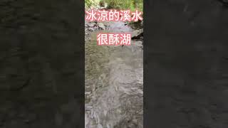 雙流國家森林遊樂區