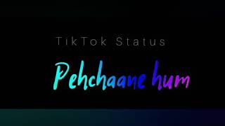 Apno K Mehfil me Begane hum Whatsapp TikTok Status Trending Song video 2020