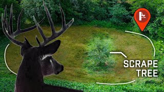 Creative Food Plots On Permission | Midwest Whitetail