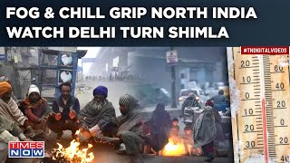 Cold Wave Hits North India: Temperatures Plummet, Dense Fog Engulfs Delhi| IMD Predicts More Chill?