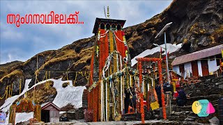 തുംഗനാഥിലേക്ക് - To Tungnath